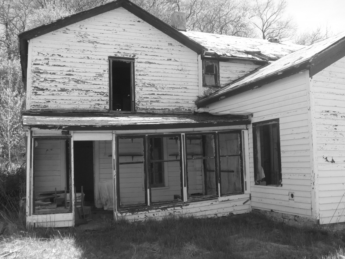Back Porch 