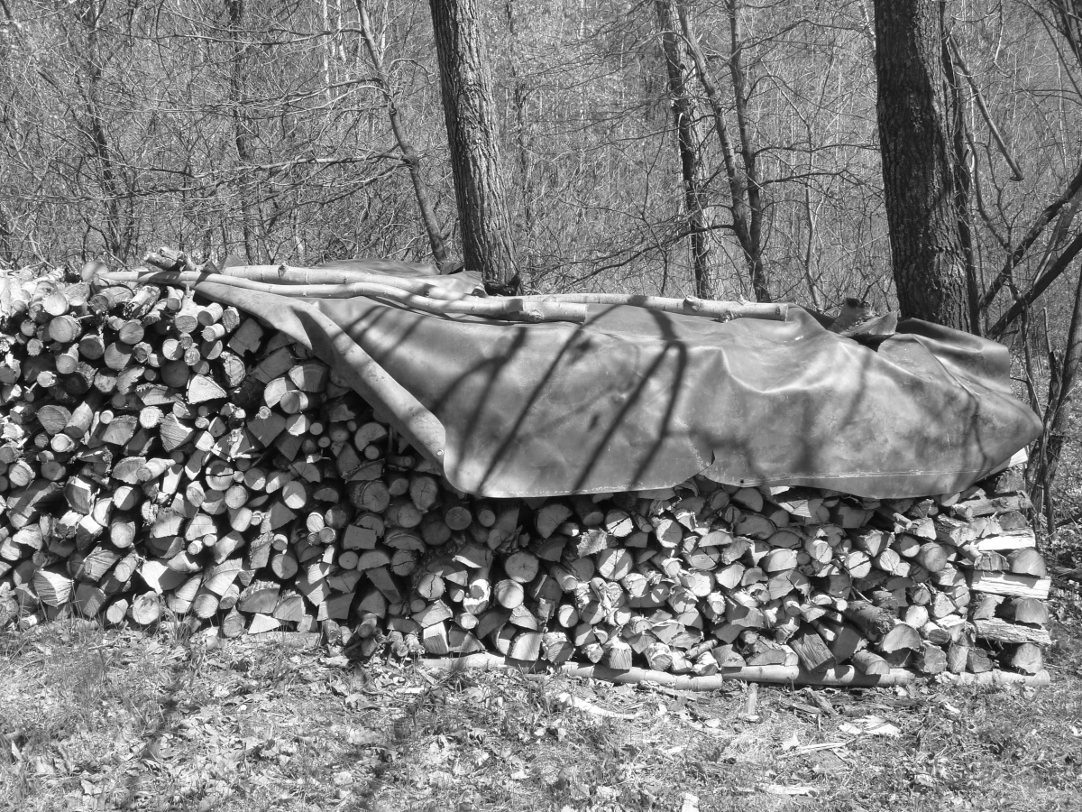 Chopped Wood Pile 
