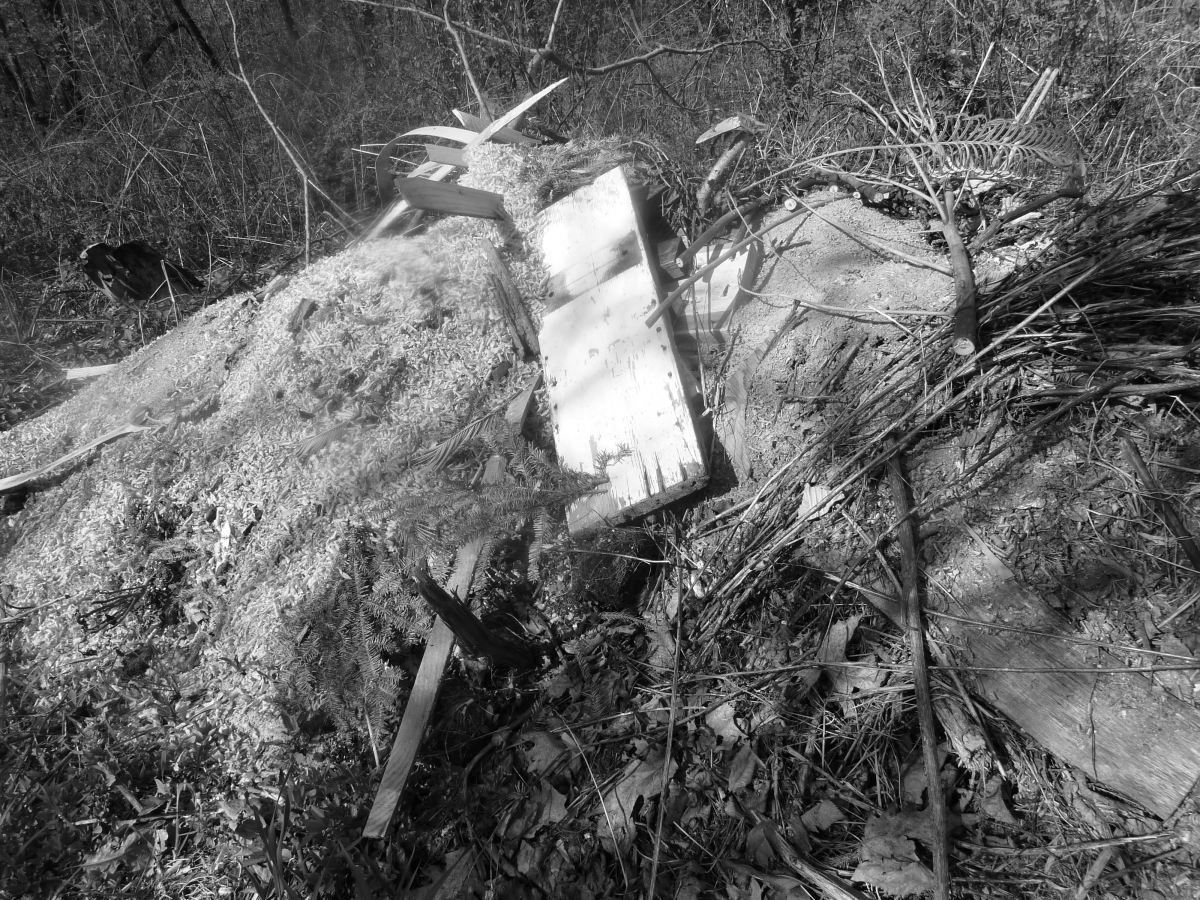 Kindling Pile 