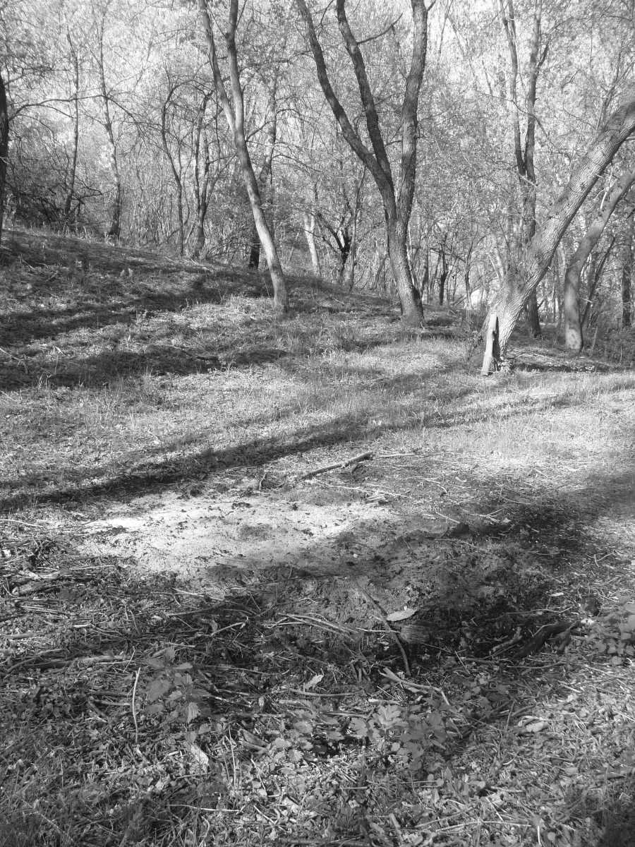 Scorched Earth 