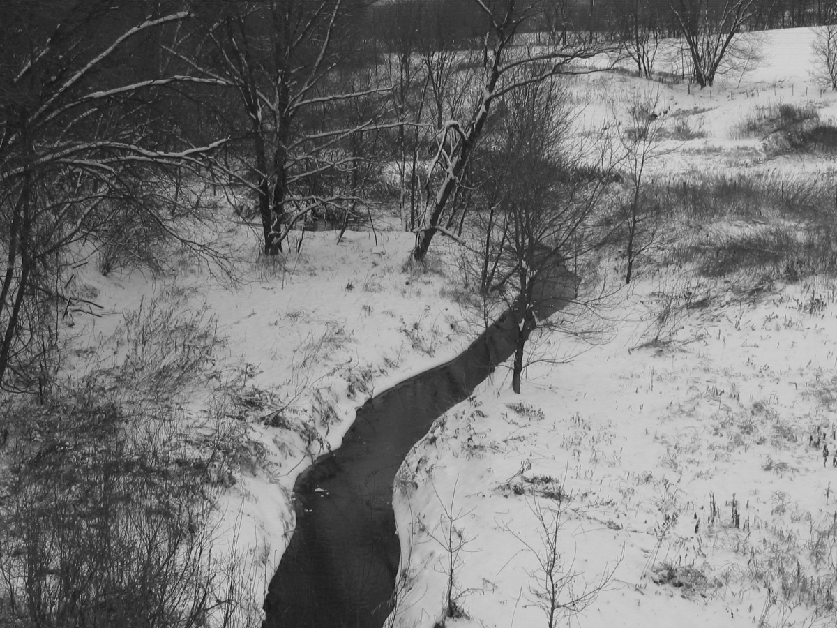 Stream Snow 